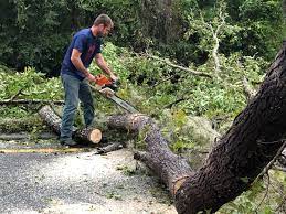 Best Aeration Services  in Zuni Pueblo, NM